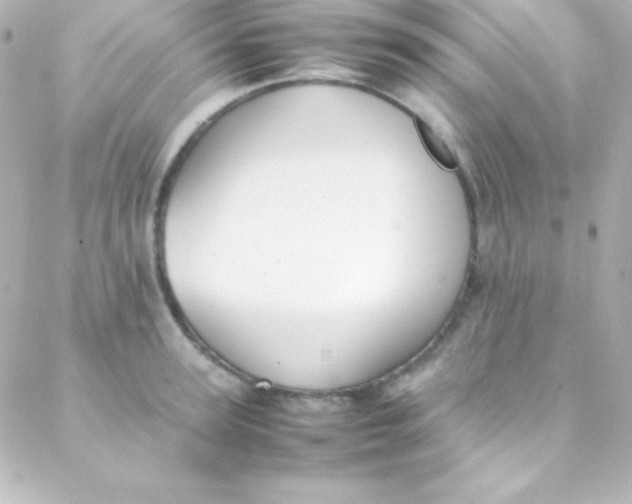 X0000088150947200705291419