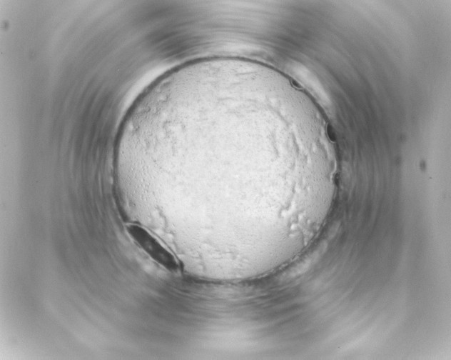 X0000088150948200705291419