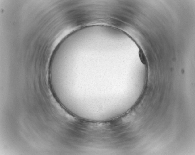 X0000088150949200705291419