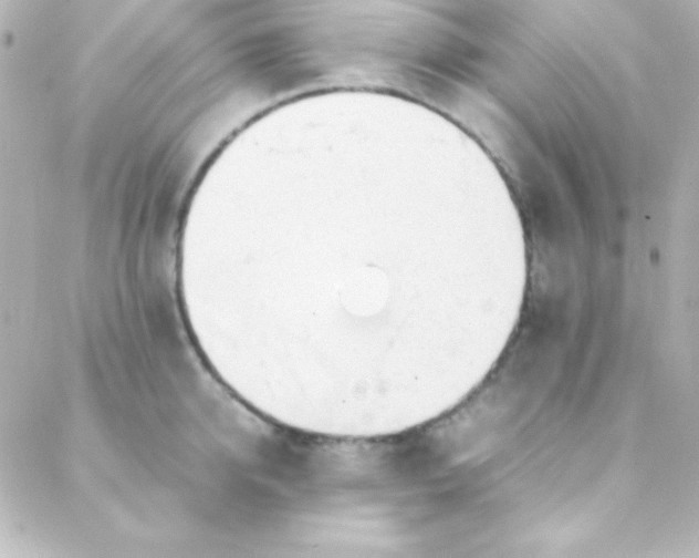 X0000088150950200705291419