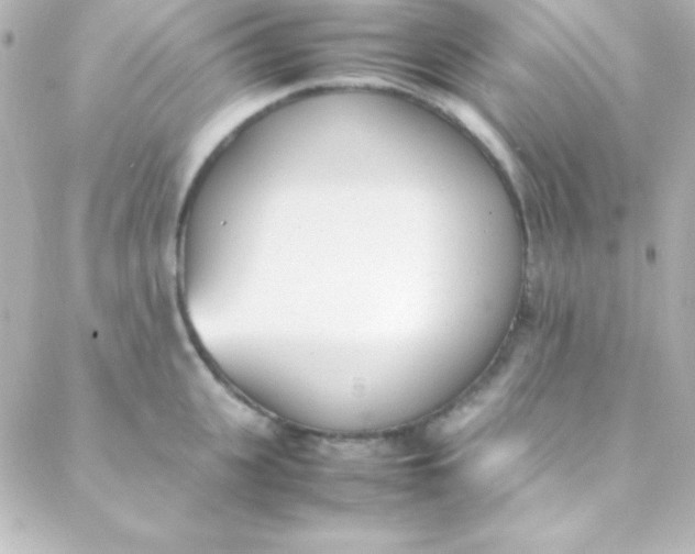 X0000088150951200705291419