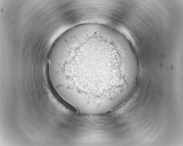 X0000088150952200705291419