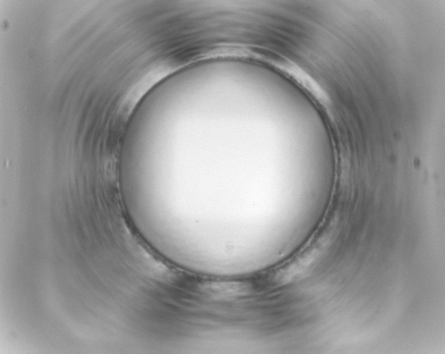 X0000088150953200705291419