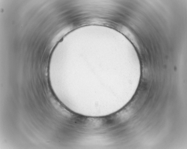 X0000088150954200705291419