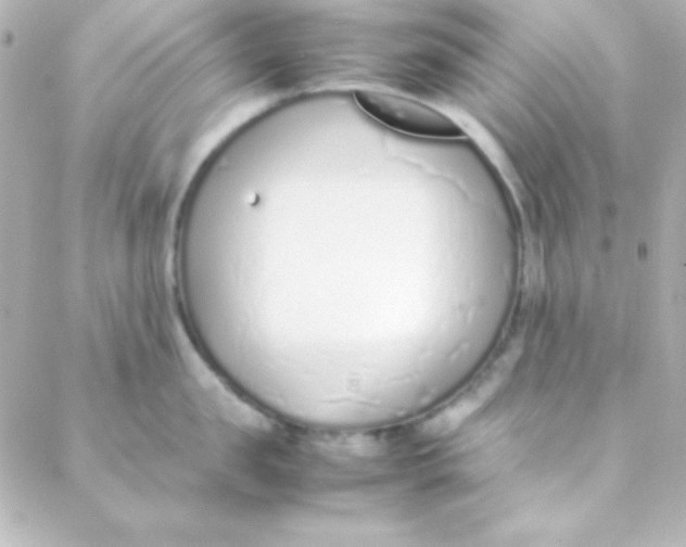 X0000088150957200705291419