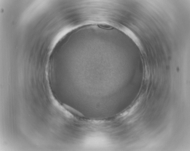 X0000088150958200705291419