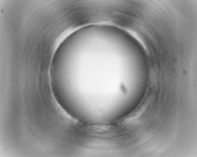 X0000088150959200705291419