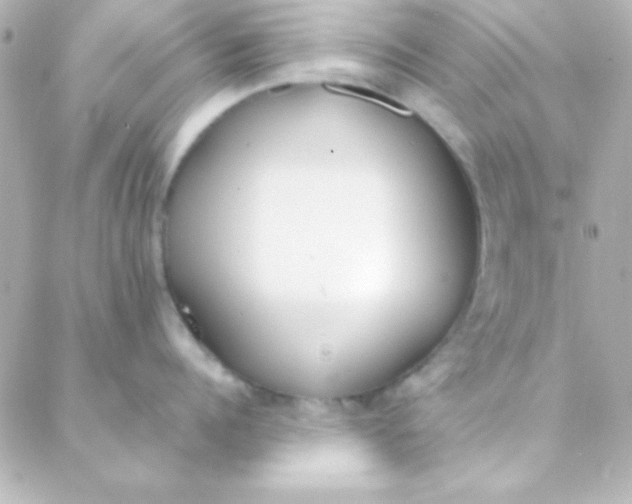 X0000088150960200705291419