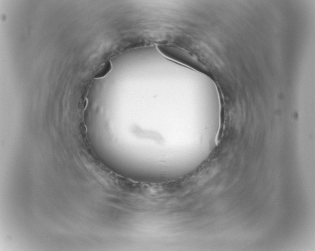 X0000088150961200705291419