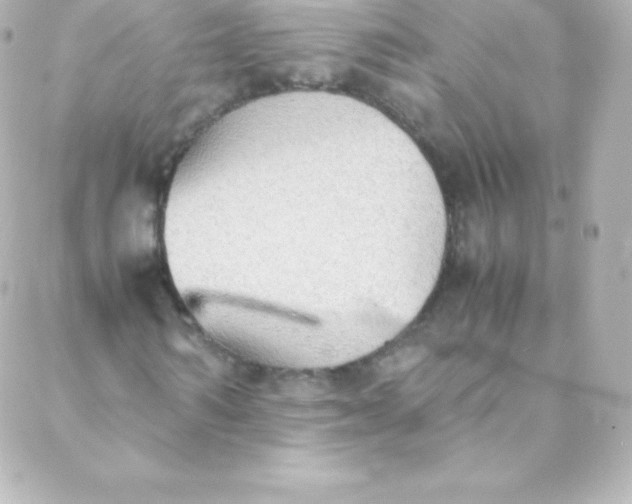 X0000088150962200705291419