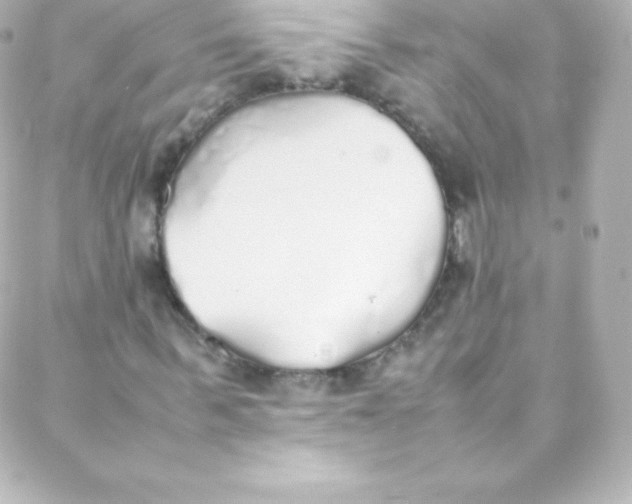 X0000088150963200705291419