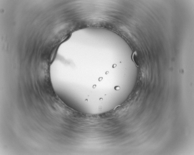 X0000088150964200705291419