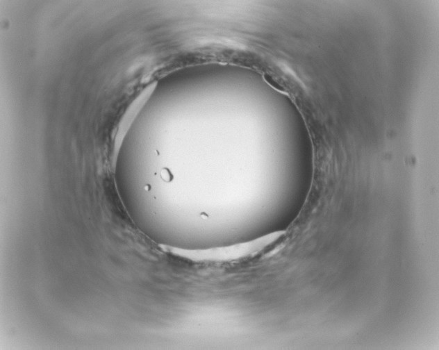 X0000088150965200705291419