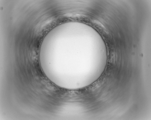 X0000088150966200705291418