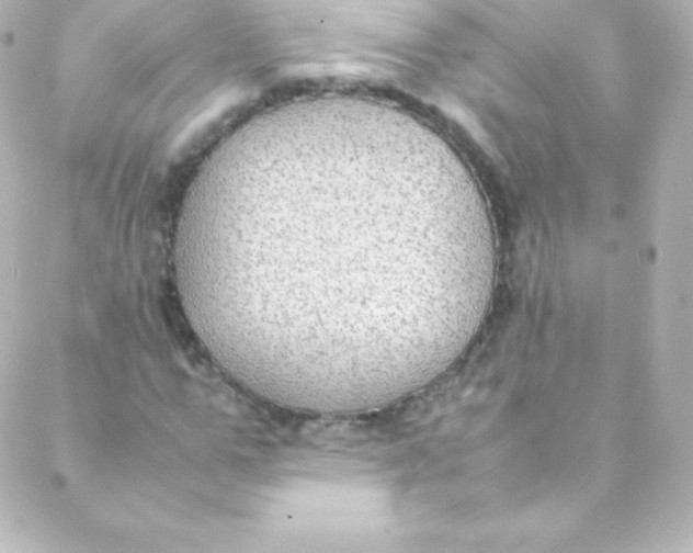 X0000088150967200705291418