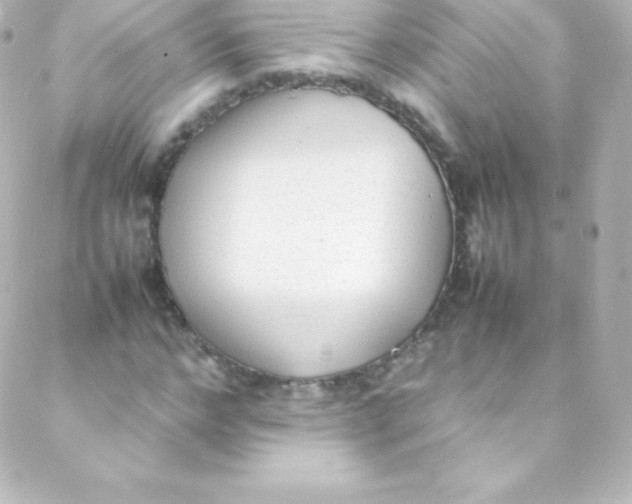 X0000088150968200705291418