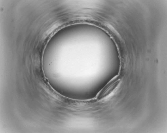 X0000088150969200705291418