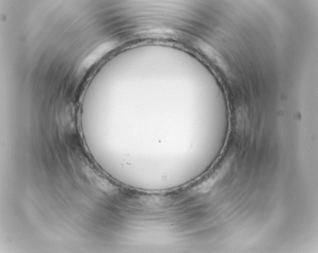 X0000088150970200705291418