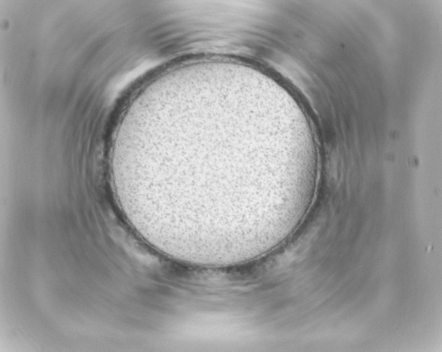 X0000088150971200705291418