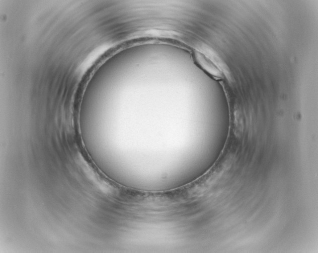 X0000088150972200705291418