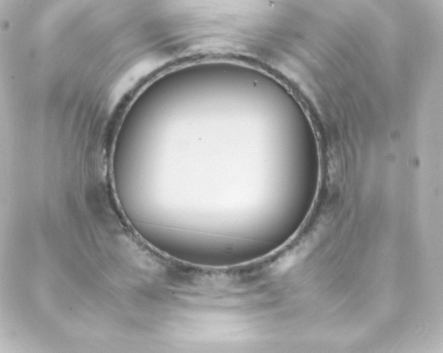 X0000088150973200705291418