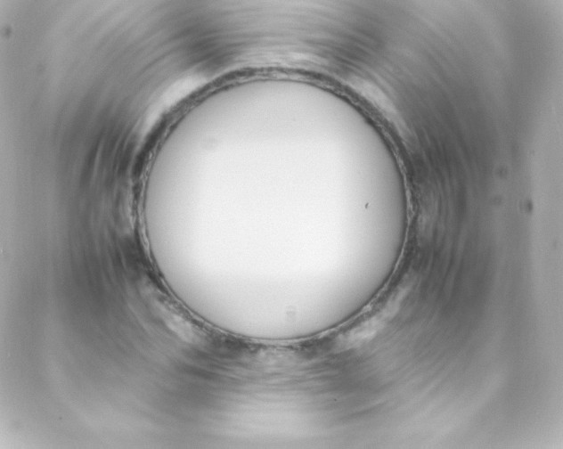 X0000088150974200705291418