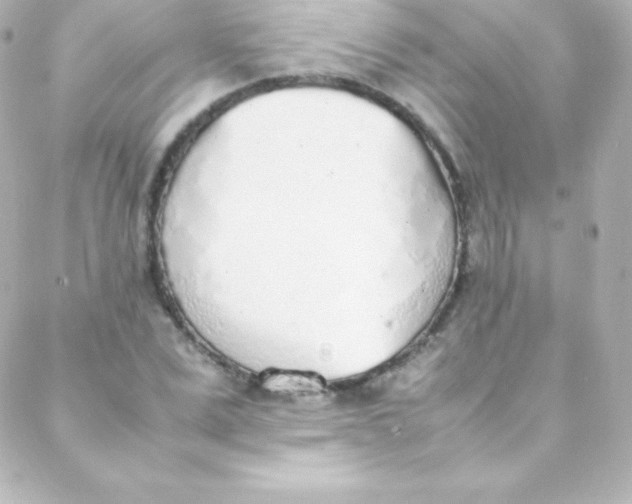 X0000088150975200705291418