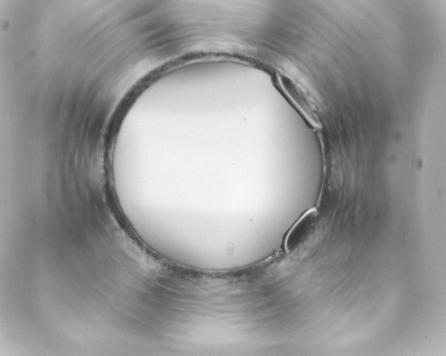 X0000088150976200705291418