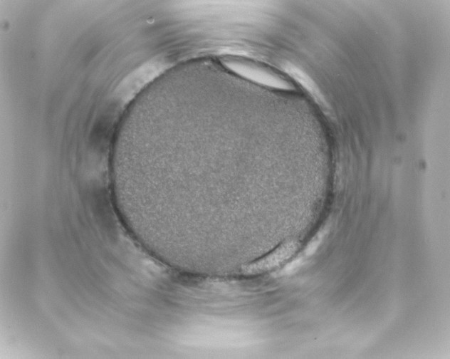 X0000088150977200705291418