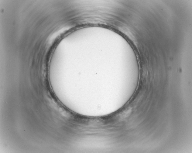 X0000088150979200705291418