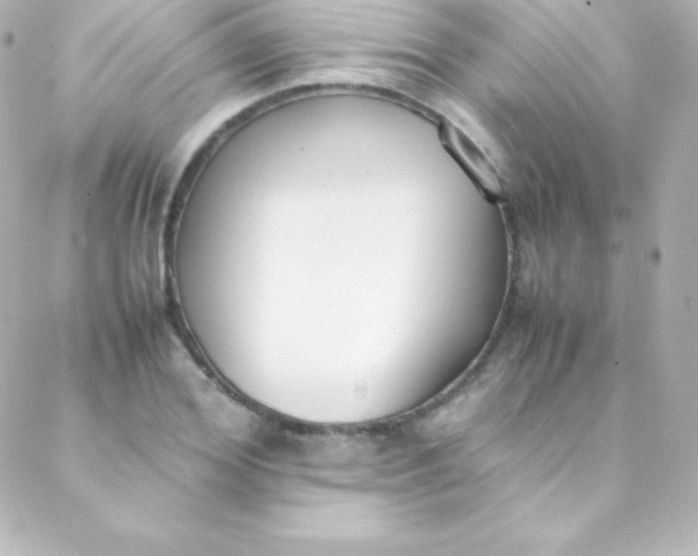 X0000088150980200705291418