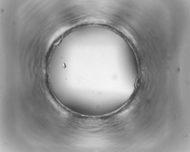 X0000088150981200705291418