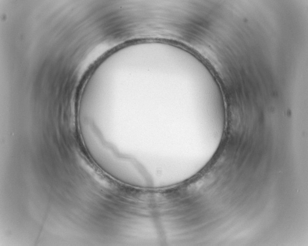 X0000088150982200705291418