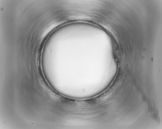 X0000088150983200705291418