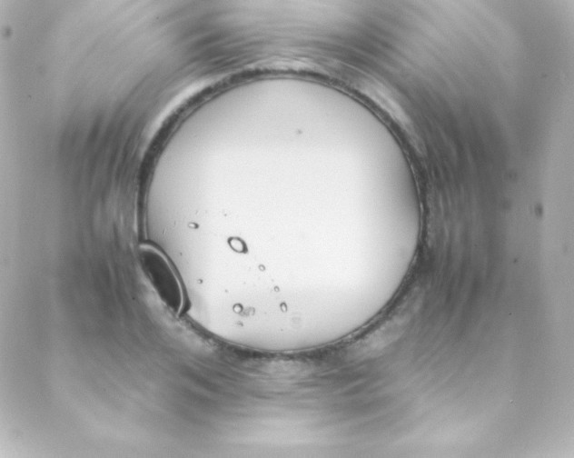 X0000088150984200705291418