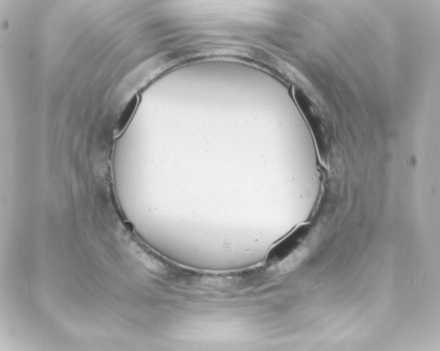 X0000088150985200705291418