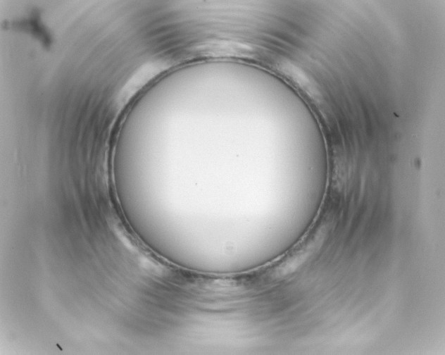 X0000088150986200705291418