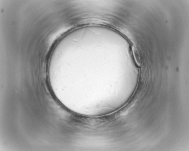 X0000088150987200705291418