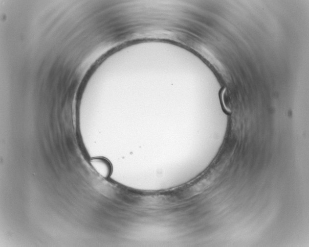 X0000088150988200705291418