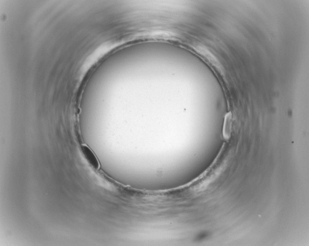 X0000088150989200705291418