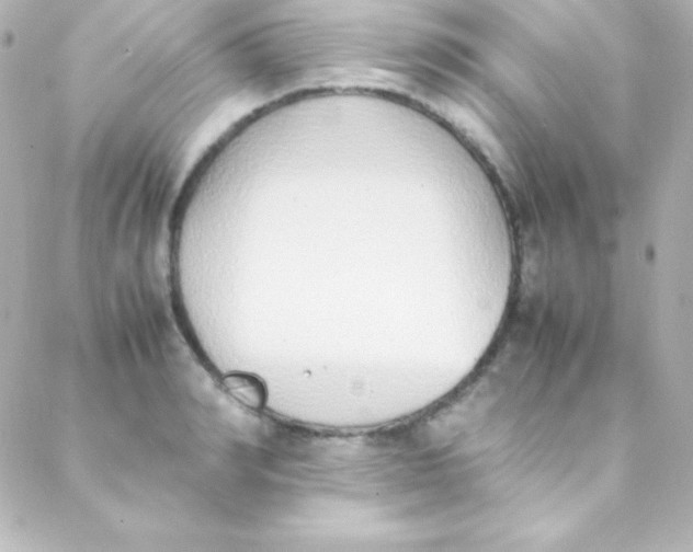 X0000088150990200705291418