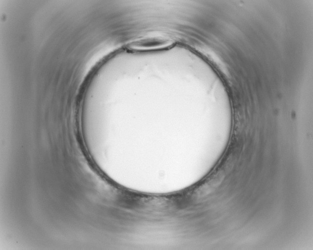 X0000088150991200705291418