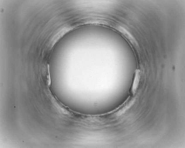 X0000088150993200705291418