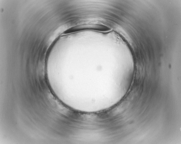 X0000088150994200705291418