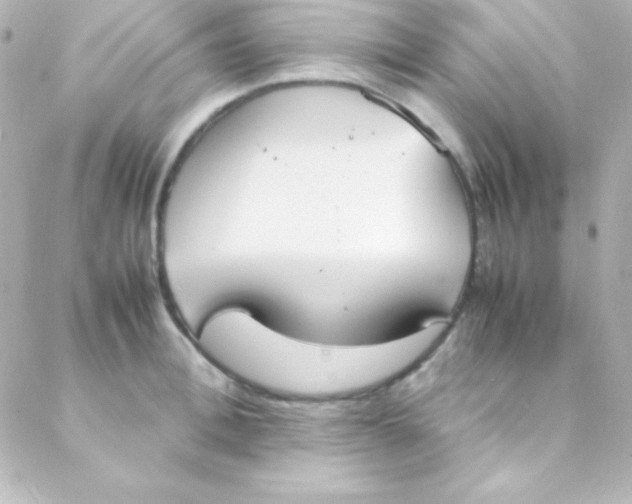 X0000088150996200705291418