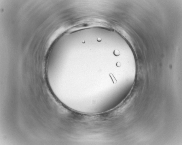 X0000088150997200705291418