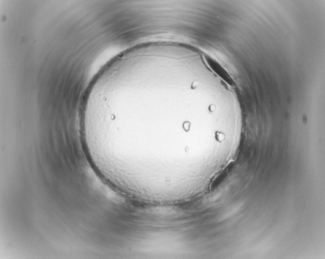 X0000088150998200705291418