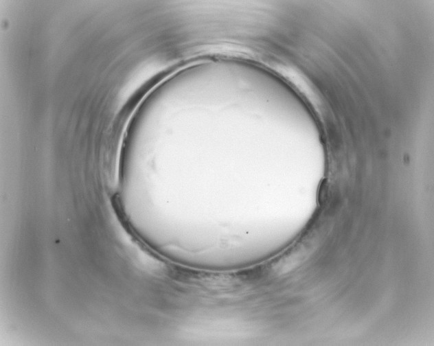 X0000088150999200705291418