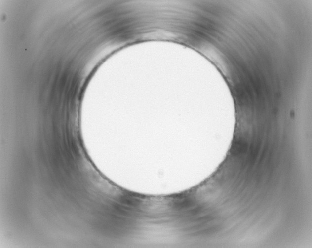 X0000088151000200705291418