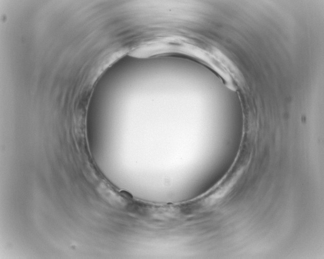 X0000088151001200705291418